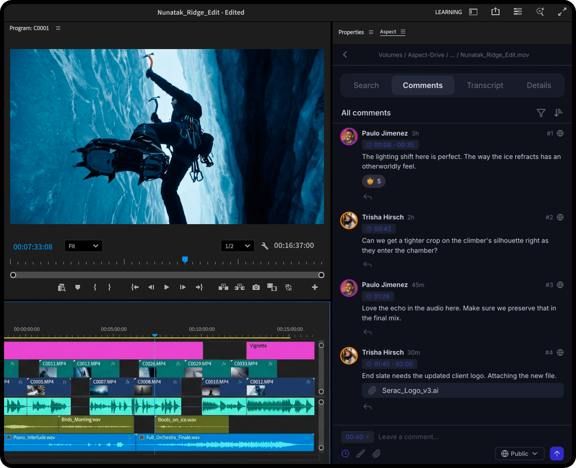 Aspect panel embedded inside Adobe Premiere Pro with media search